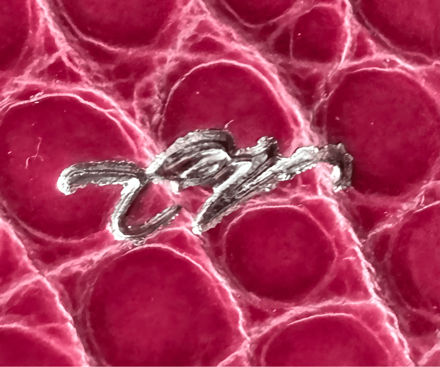 American Alligator Sangria CrocoVera Earrings - CrocoVera