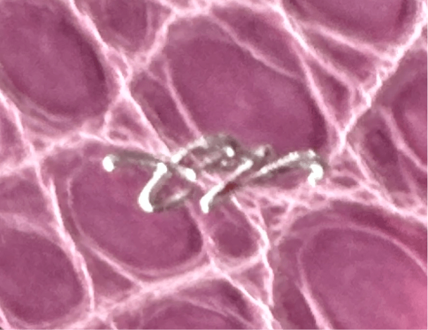 American Alligator Amethyst CrocoVera Earrings - CrocoVera