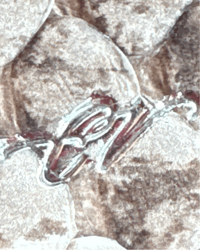 Python Snakeskin Matte Natural CrocoVera Earrings in Sterling Silver - CrocoVera